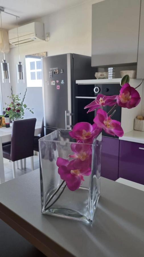 Apartment Natasha Biograd Na Moru Buitenkant foto